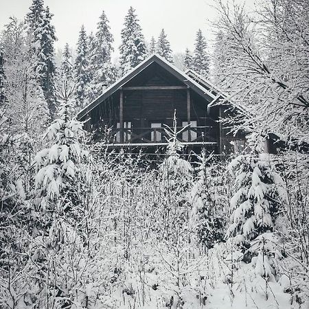 Chalet Shepit Karpat バコヴェル エクステリア 写真