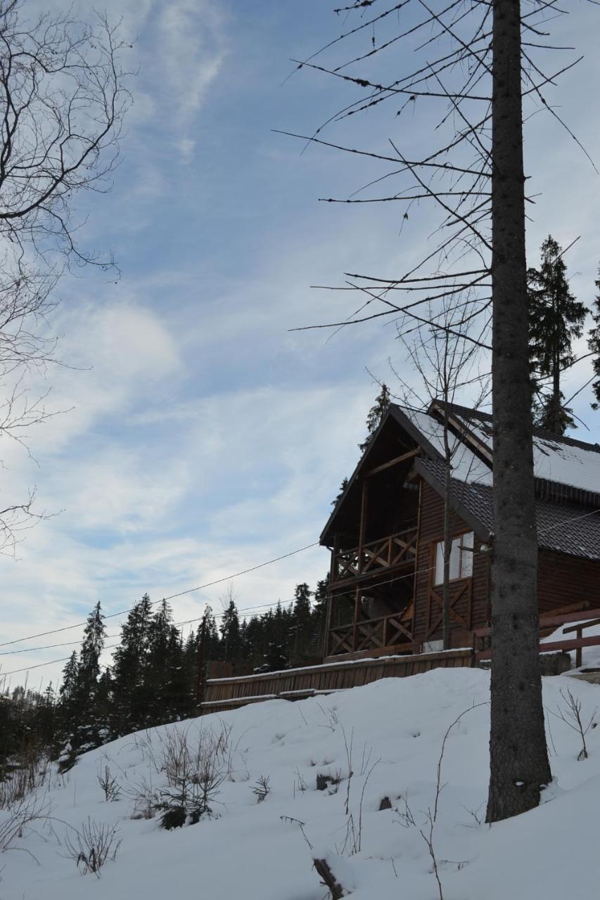 Chalet Shepit Karpat バコヴェル エクステリア 写真