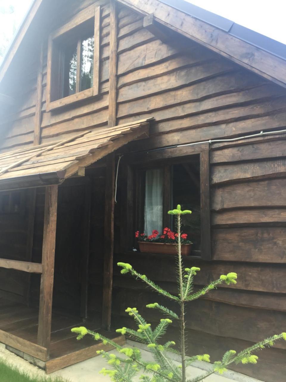 Chalet Shepit Karpat バコヴェル エクステリア 写真