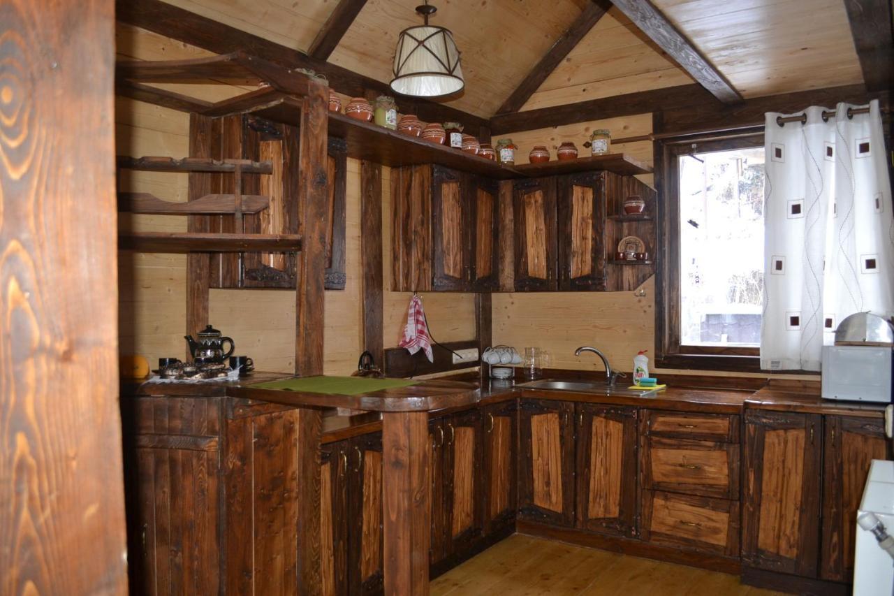 Chalet Shepit Karpat バコヴェル エクステリア 写真