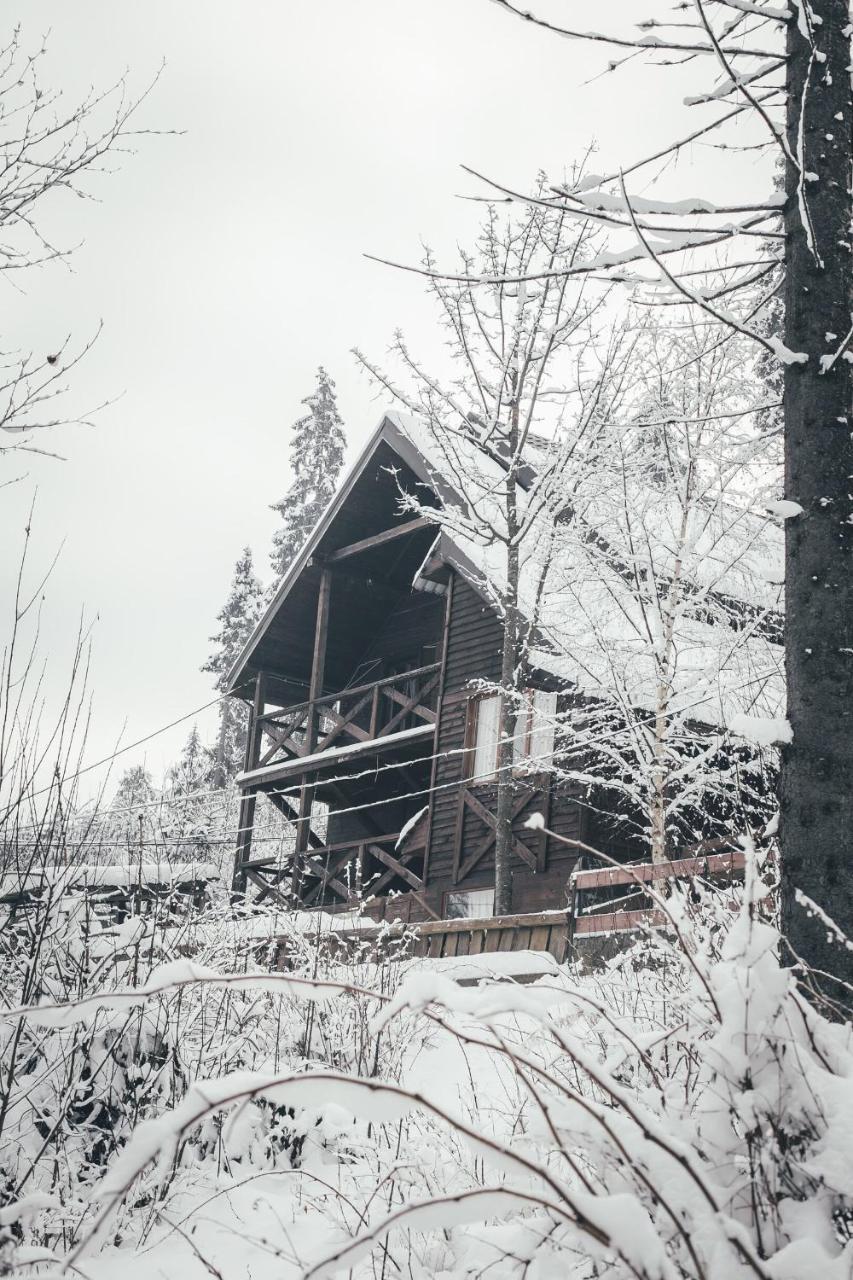 Chalet Shepit Karpat バコヴェル エクステリア 写真